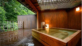 福島県 奥たまかわ温泉 すわや